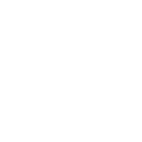 Disco Icono